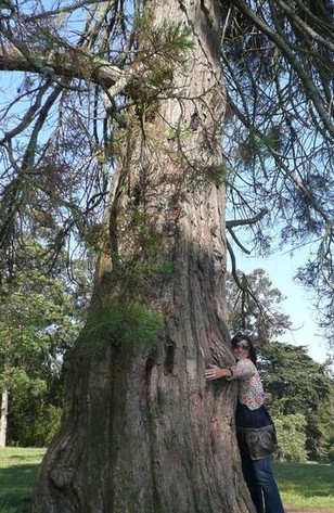 The original "Treehugger Girl" Christina, at San Francisco's Golden Gate Park.