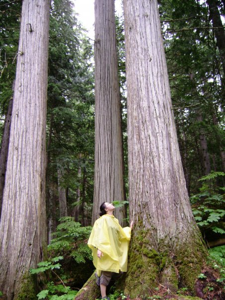 Conservation Northwest's Crystal Gartner in the Inland Temperate Rainforest, near Nakusp, British Columbia.