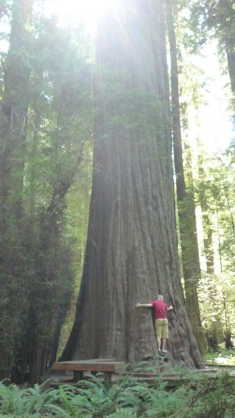 David Schiller at the Humboldt Founders Tree, Humboldt Redwoods State Park.
