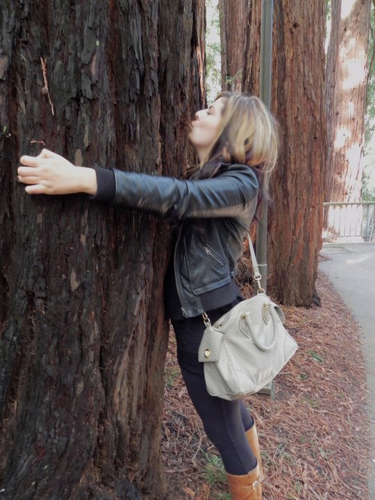 Santa Barbara Treehuggers International fan Giselle Brun gets fresh with a Santa Cruz Redwood.