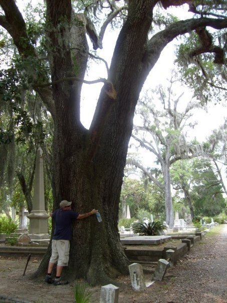 Jay Shatsky gets friendly with a tree along the Savannah River in Savannah, Georgia.