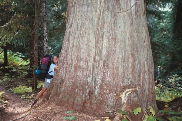 Backpacker Kerry Olson hugs a giant cedar in North Cascades National Park.