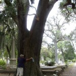 Jay Shatsky gets friendly with a tree along the Savannah River in Savannah, Georgia.