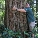 Treehuggers International founder Tommy Hough on the job at Federation Forest State Park.